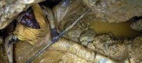 موبایل هایی که بوی خون میدهند!