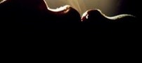 می‌تونی نفست رو یک ربع حبس کنی؟