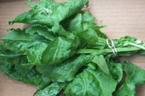 سبزی مفید برای جلوگیری از نقایص جنین