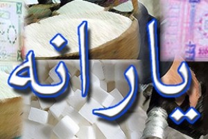 انصراف 15 مسئول ارشد دولتی از دریافت یارانه نقدی