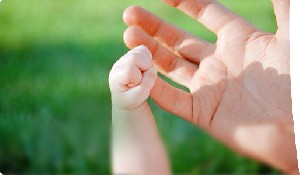 پانزده درس زندگی كه در هیچ مدرسه ای یاد نمیدهند!