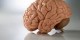 چگونه میتوانیم حافظه خود را  تقویت کنیم؟