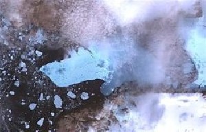سال 2010 گرم ترین سال زمین است