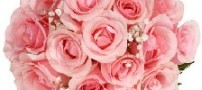 رازهای هدیه دادن گل (+معانی)