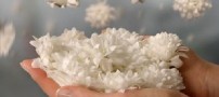 مناجاتی با خدا به زبان انگلیسی با ترجمه فارسی