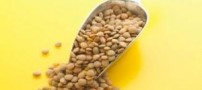 خواص بیشماری برای عدس