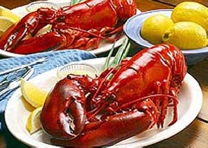خرچنگ نخورید؛ حرام است