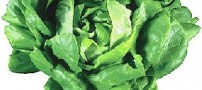 سبزیجات دارای برگ سبز دشمن دیابت