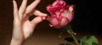 انتخاب و تأثیر آن در زندگی افراد