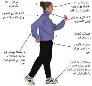 برنامه 12 هفته ای پیاده روی