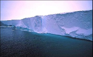 راز یخ نزدن ماهیان ساکن اقیانوسهای قطبی