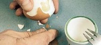 شش قتل به دلیل پخته نشدن تخم مرغ !