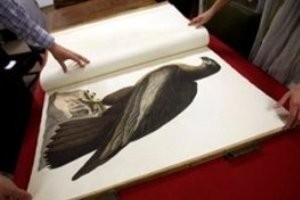 چوب حراج بر گران ترین كتاب جهان