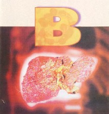 ویروس هپاتیت B از 19 میلیون سال قبل وجود داشته!!