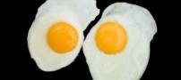 هر روز یک تخم ‌مرغ بخورید