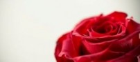 روابط جنسی از نگاه قرآن کریم