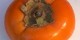 طرز تهیه ترشی ولیته خرمالو