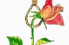 چنین شوهرانی عشق را در زندگی می کشند؟!