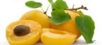 ارزش غذایی زردآلوی خشک و تازه