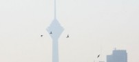 توقف اجرای طرح «زوج و فرد» در تهران