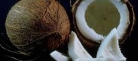 آشنایی با خواص نارگیل