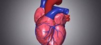 غذاهایی برای حفظ سلامتی قلب