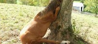 اگر فکر میکتید بد شانس هستید بخوانید