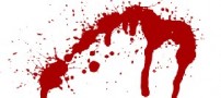 حمله حشرات گوشتخوار به دو شهروند انگلیسی