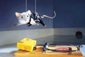 سرقت بسیار جالب به سبك موش‌ها !