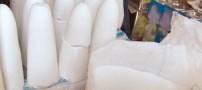 بعد از خواندن این مطلب دیگر قند و شکر نمیخورید
