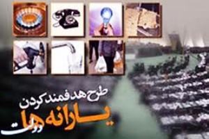 نحوه پرداخت یارانه نقدی برای نوزادان