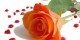 اس ام اس های عاشقانه انگلیسی با ترجمه فارسی