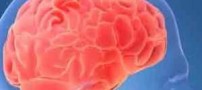 نتایج جالب MRI از مغز عاشقان