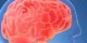 نتایج جالب MRI از مغز عاشقان