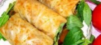 طرز تهیه دلمه کباب هلندی