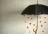 شعر و متن های عاشقانه و بسیار زیبا