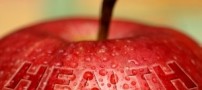 چگونه از مرگ زودرس پیشگیری كنیم؟