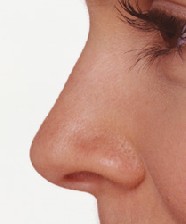 شخصیت شناسی از روی حرکات بینی