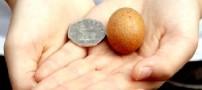 زنی که مرغش در دنیا رکورد شکست !!