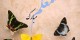 اس ام اس ویژه تبریک روز معلم