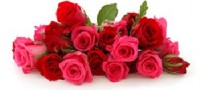 آغازهایی به رنگ عشق