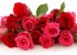 آغازهایی به رنگ عشق