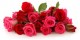 آغازهایی به رنگ عشق