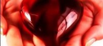 مطلبی جالب درمورد عشق و عاشقی و رابطه جنسی!