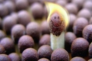 3000 دختر در سیدنی مدل می شوند!