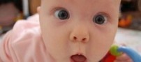 بز و گوسفندی كه راهنمای یک اسب نابینا هستند !!!