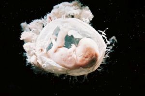 سقط جنین و نشانه های آن