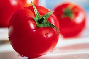رب گوجه فرنگی و تآثیر آن بر سرطان پروستات
