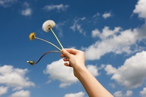 برای داشتن زندگی بهتراین کارهای کوچک را انجام دهید