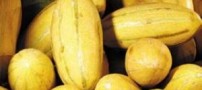 آشنایی با خواص درمانی خربزه